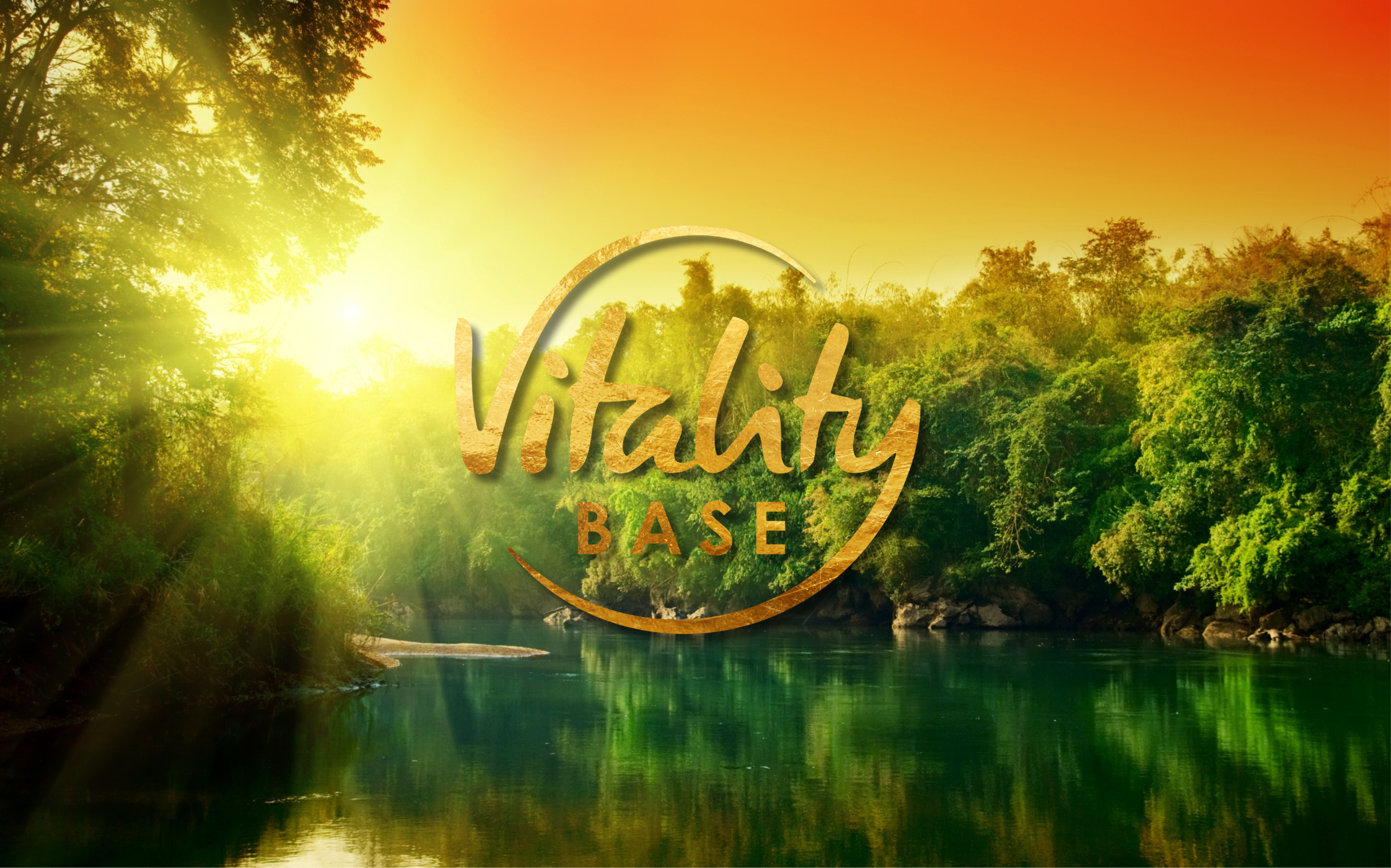 vitalitybase